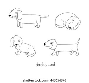 Set of cute dachshund illustration. Hand drawing isolated objects. Vector illustration. 