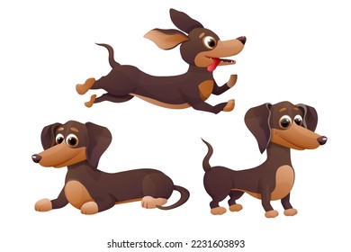 Set cute dachshund puppy