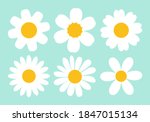 Set of cute daisy flower icon sign on green background vector illustration. Flat design.
