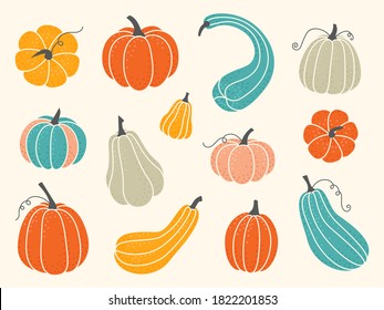 Conjunto de calabazas adorables de varias formas y colores. Colorida colección de objetos para la temporada de Halloween, Acción de Gracias, cosecha y otoño. Elementos vectores planos aislados
