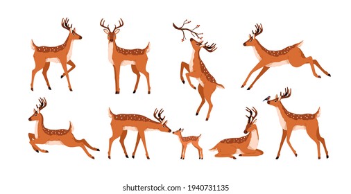 Set of cute deer isolated on white background. Adorable spotted bambis lying, running, jumping, eating and walking. Christmas reindeer. Forest horny animals. Colored flat vector illustration