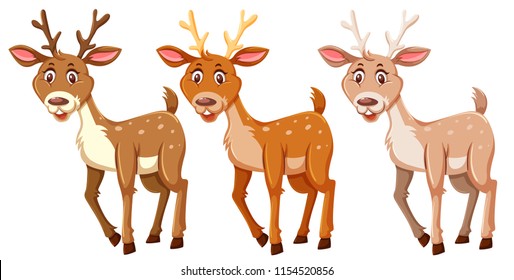 Set of cute deers  illustration