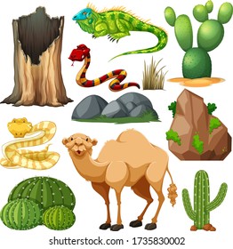 Set of cute desert animal and nature illustration