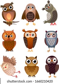 Set of cute different owl bird, with colorful feathers