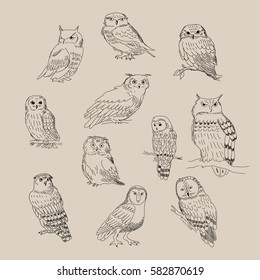 710 Owl Pattern Realistic Images, Stock Photos & Vectors | Shutterstock