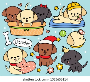 set cute dog labrador