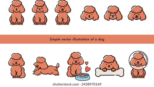 Set of cute dog and pet illustrations of a brown poodle with a hand-drawn feel that can be used for illustrations and icons_white back