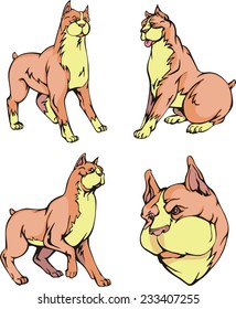 Set of cute dogs - Boxer breed. Vector illustrations.