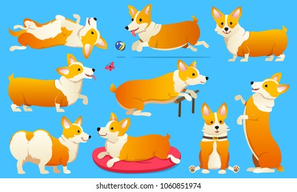 Set of cute dogs breed Welsh Corgi Pembroke on blue background. A domestic pet, a happy royal animal for girls. Funny Red haired puppy looks like a fox. Vector illustration.