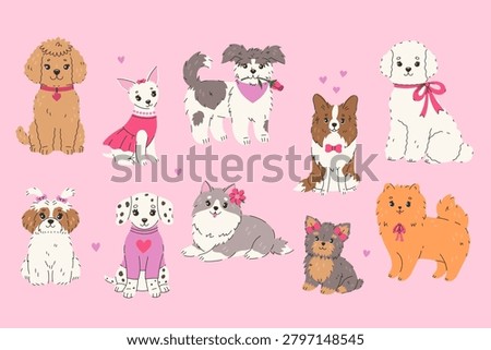 A set of cute dogs of different breeds. Vector graphics.
