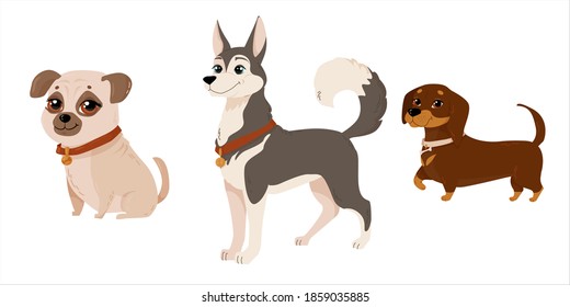 Set of cute dogs of different colors. Husky, pug and brown dachshund. Puppy drawn in cartoon style. Pets. Dog breeds. illustration isolated on white background