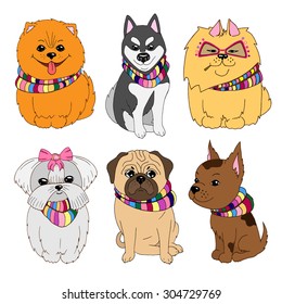 Set of Cute Dogs Illustrations: Pug, Pomeranian Spitz, Husky, Maltese, Chihuahua. Hand Drawn Vector Stylish Dogs in Stripped Scarfs on white background.