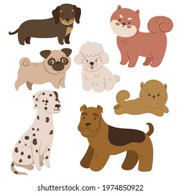 Set of cute dogs isolated on white background. Vector graphics.
