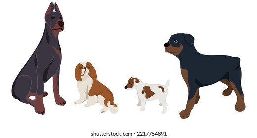 Set süßer Hunde einzeln auf weißem Hintergrund. Vektorgrafik