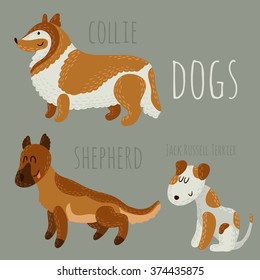 Set of cute dogs: Jack Russell Terrier, collie and shepherd.
