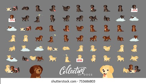 Set of cute dogs labrador and golden retriever.