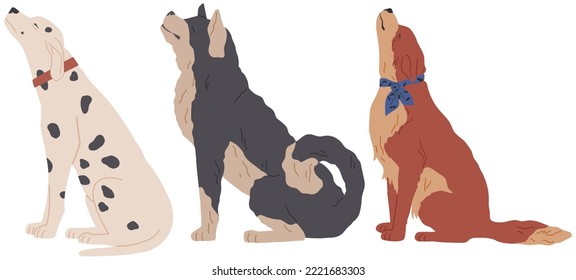 Set of cute dogs. Lovely adult dog and friendly puppy, side view, friendly domestic animals. Adorable cartoon funny pet, dalmatian, husky and shepherd dog hand drawn collection on white background