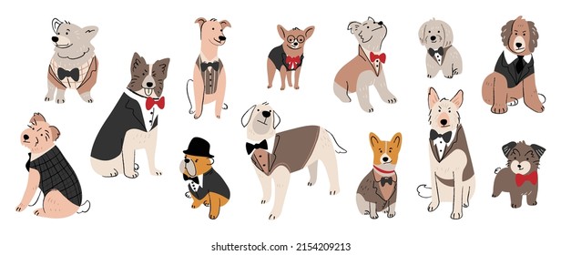 Set cute dogs vector  Lovely dog   puppy doodle pattern in different poses  formal  tuxedo suits   breeds and flat color  Adorable pet characters hand drawn collection white background 