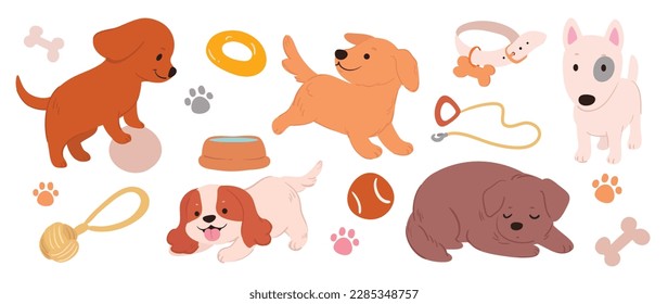 Set of cute dogs vector. Lovely dog and puppy doodle pattern in different, breeds, golden, collar, bone, bowl with flat color. Adorable pet characters hand drawn collection on white background.