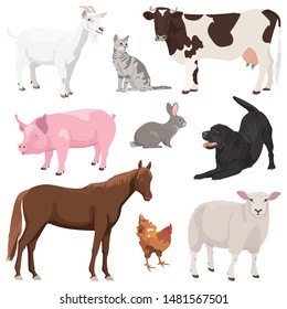 Set of of cute domestic farm animals isolated on white background. Goat, cat, cow, pig, rabbit, dog, horse, hen and sheep. Flat vector illustration, eps 10