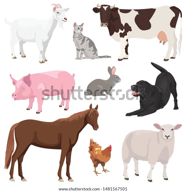 Set Cute Domestic Farm Animals Isolated Stock Vector (Royalty Free ...