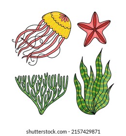Set cute doodle cartoon sea jellyfish, starfish, algae. Vector illustration.