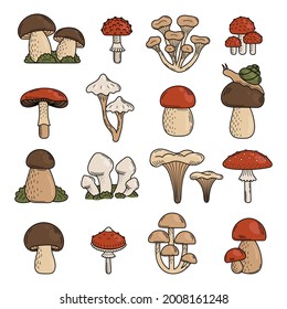 Set of cute doodle mushrooms. Edible and Poisonous mushrooms, fly agaric, toadstool, porcini mushroom. Vector hand illustration