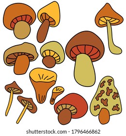 Set of cute doodles mushroom, Brown and orange nature elements, vector hand draw illustration for design and creativity