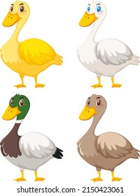 Set of cute duck cartoon illustration