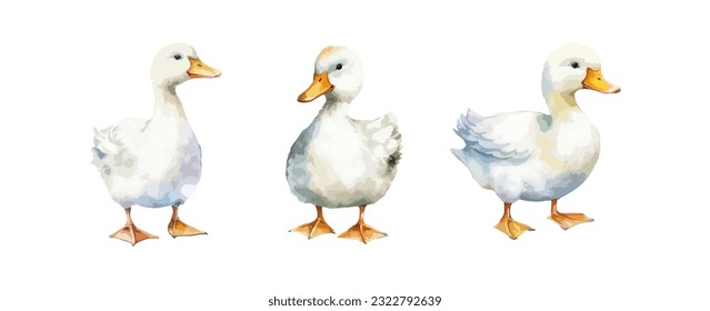 Set of cute duck watercolor isolated on white background. Vector illustration