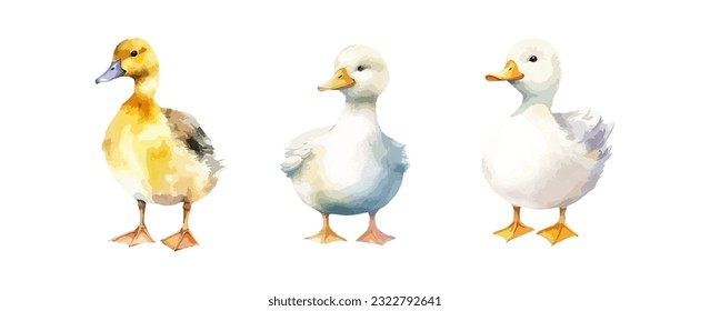 Set of cute duck watercolor isolated on white background. Vector illustration