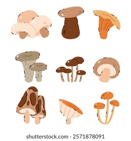 Set of cute edible mushrooms. Button, Cremini, Portobello, Shiitake, Oyster, Porcini, Morel, Enoki, Chanterelle, Maitake