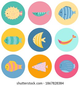 Conjunto de peces exóticos adorables en círculos de colores. Iconos de peces marinos o oceánicos. Estilo de caricatura. Diseño para pegatinas, carteles, tarjetas para niños. Ilustración del vector