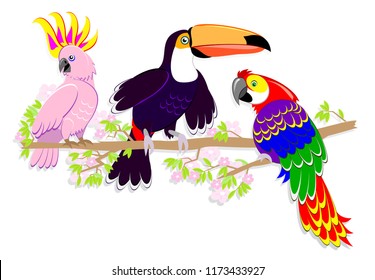 Set of cute fairyland parrots sitting on a branch. Illustration on white background. Vector cartoon image.