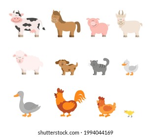 Set of cute farm animals in cartoon style: sheep, goat, cow, horse, pig, cat, dog, duck, goose, chicken, rooster, chicken on a white background. Vector illustration in a flat style.