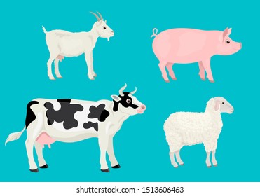 Set of cute farm animals on a blue background. Vector illustration of spotted cow, pink pig, white lamb and sheep in cartoon simple flat style.