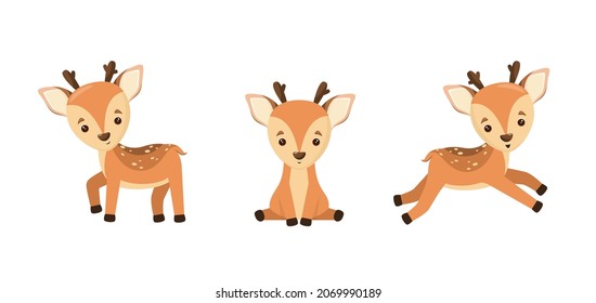 A set of cute fawns in cartoon style on a white background. Vector illustration.