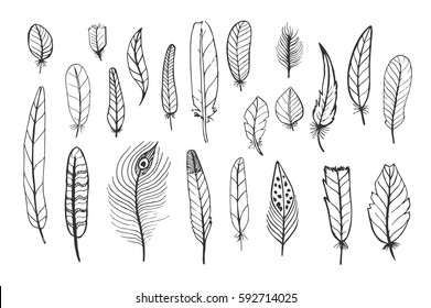 A set of cute feathers, black hand drawn doodles on a white background