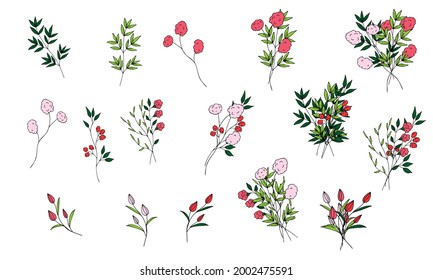 Set of cute field mini bouquets of vector flowers and branches in doodle style on a white background. Simple flowers and plants. Isolated objects.