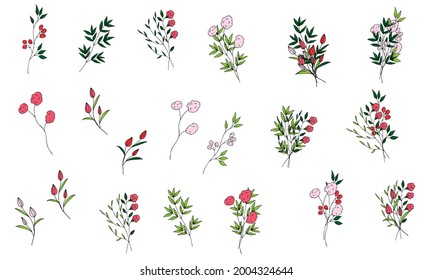 Set of cute field mini bouquets of vector flowers and branches in doodle style on a white background. Simple flowers and plants. Isolated objects.