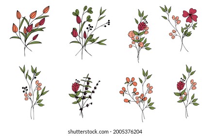 Set of cute field mini bouquets of vector flowers and branches in doodle style on a white background. Simple flowers and plants. Isolated objects.