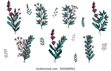 Set of cute field mini bouquets of vector flowers and branches in doodle style on a white background. Simple flowers and plants. Isolated objects.