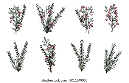 Conjunto de pequeños ramos de campo adorables de flores vectoriales y ramas en estilo doodle sobre un fondo blanco. Flores y plantas sencillas. Objetos aislados.