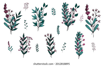 Conjunto de pequeños ramos de campo adorables de flores vectoriales y ramas en estilo doodle sobre un fondo blanco. Flores y plantas sencillas. Objetos aislados.
