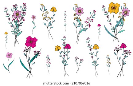 Conjunto de pequeños ramos de campo adorables de flores vectoriales y ramas en estilo doodle sobre un fondo blanco. Flores y plantas sencillas. Objetos aislados.