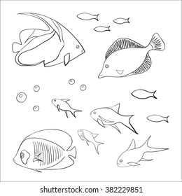 Coloring Page Seamless Pattern Amphiprion Nemo Stock Vector (Royalty ...