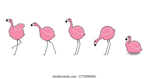 Conjunto de pájaro Flamingo lindo, ilustración vectorial de pájaro, formato vector eps10.