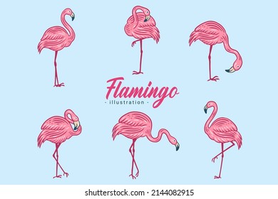Set of Cute Flamingo pink Bird flamingos Aesthetic Tropical Exotic Hand drawn flat style collection