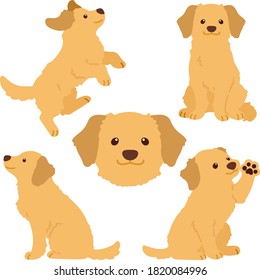 Set of cute flat colored Golden Retriever illustrations