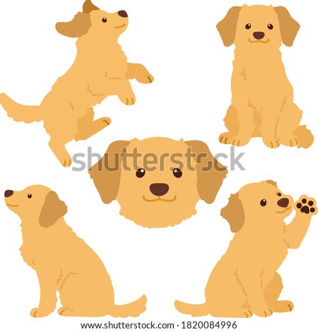 Set of cute flat colored Golden Retriever illustrations